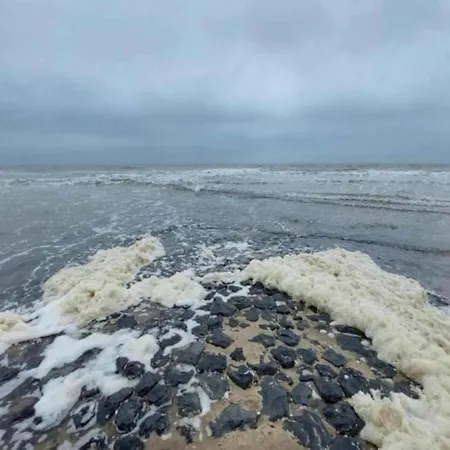 Near Beaches, Cleaning Included *